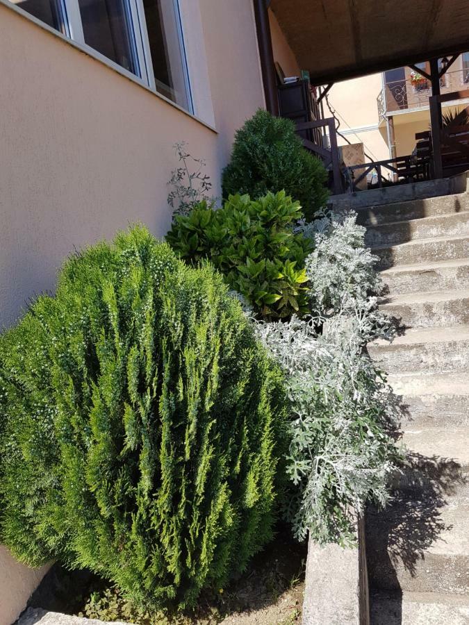 Samida New Athos Exterior photo